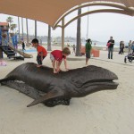 Things To Do With Kids in La Jolla
